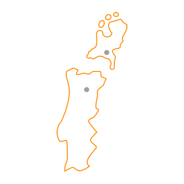 Brainport region and Porto